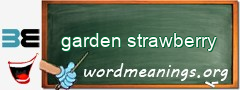 WordMeaning blackboard for garden strawberry